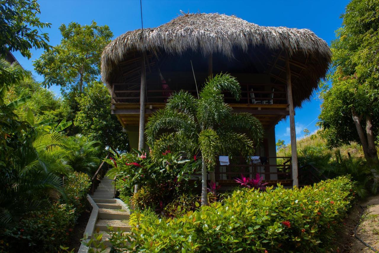 Hotel Isabella Tayrona Los Naranjos Eksteriør bilde