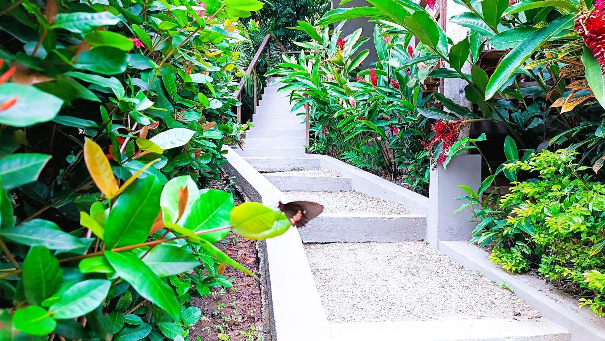 Hotel Isabella Tayrona Los Naranjos Eksteriør bilde