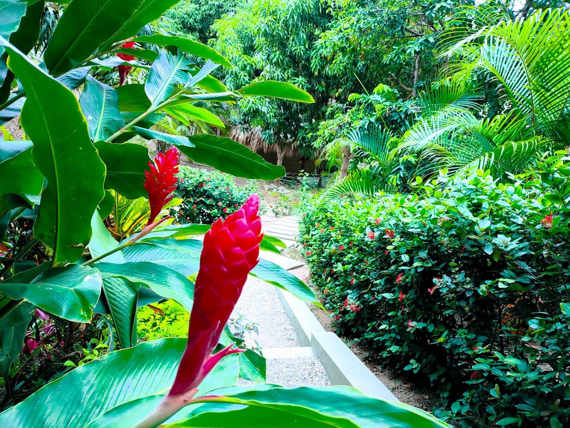 Hotel Isabella Tayrona Los Naranjos Eksteriør bilde
