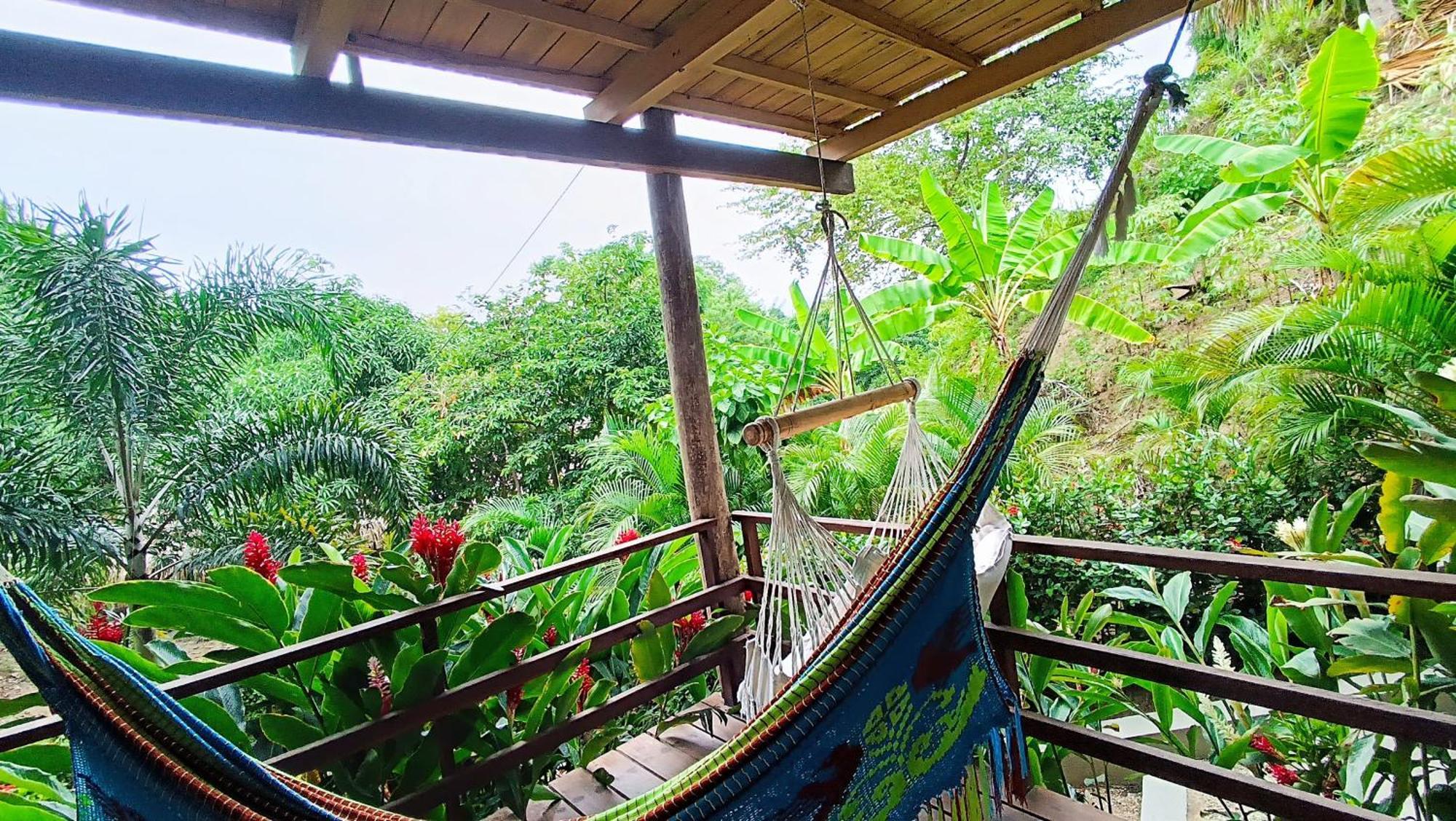 Hotel Isabella Tayrona Los Naranjos Eksteriør bilde