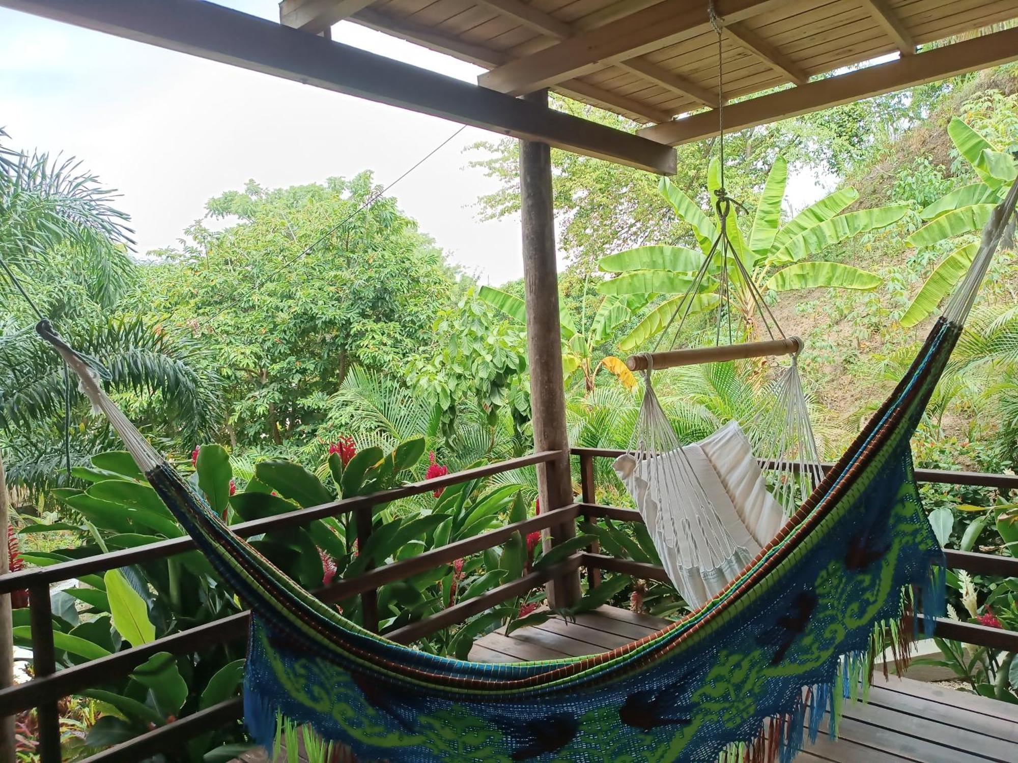 Hotel Isabella Tayrona Los Naranjos Eksteriør bilde